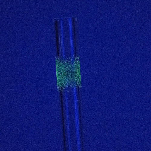 lufka ub uv - cukrowa / 12,5 cm / 11 mm na Arena.pl