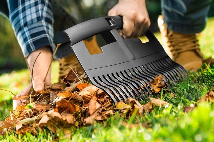 GRABIE DUŻE DO LIŚCI IDEAL PRO CELLFAST 40-312 zdjęcie 6