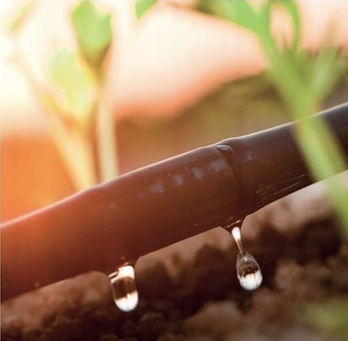 LINIA KROPLUJĄCA XXL 100m + 100el NAWODNIENIE KROPELKOWE WĄŻ KROPELKUJĄCY na Arena.pl