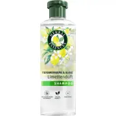 Szampon do włosów bez połysku Herbal Essences