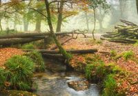 product-compare-62138255