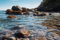 Plakat 30x20cm Harmonia Przybrzeżna