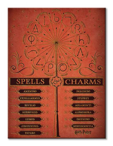 Harry Potter (Spells na Arena.pl