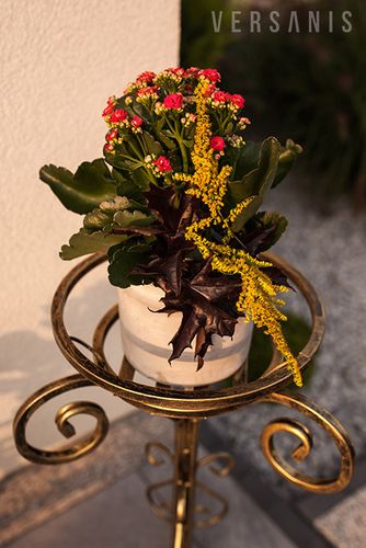 Kwietnik ozdobny pojedynczy na Arena.pl