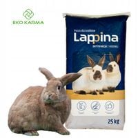 Lappina 2 - EXTRA