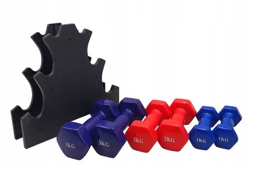 ZESTAW HANTLI DO ĆWICZEŃ HANTLE HANTELKI CIĘŻARKI FITNESS 6szt 12kg STOJAK na Arena.pl