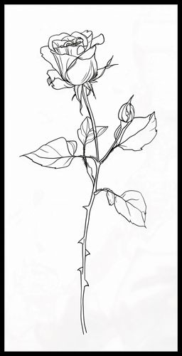 Plakat 50x100cm Kontur Róży na Arena.pl