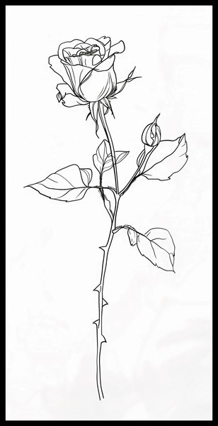 Plakat 50x100cm Kontur Róży zdjęcie 2