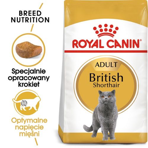 Karma dla kotów rasy brytyjski krótkowłosy Royal Canin OCHRONA STAWÓW 4kg na Arena.pl