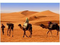 60X40CM PODRÓŻ PO PUSTYNI OBRAZ