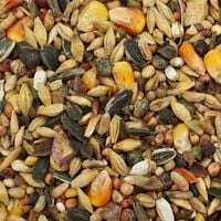 20kg Uniwersalna Karma dla Ptaków Ziarno Pokarm Zimowy Karmnik Champi