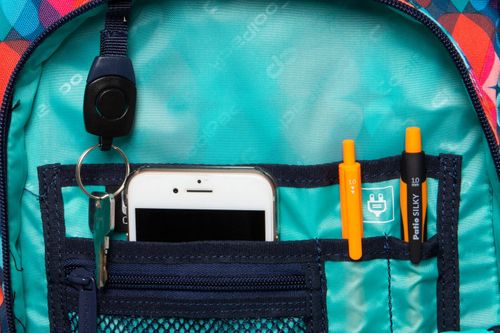 COOLPACK BASIC PLUS PLECAK MŁODZIEŻOWY MAGIC LEAVES 27 L na Arena.pl