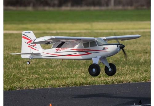 Timber BNF Basic na Arena.pl