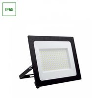 NOCTIS LUX 4 NAŚWIETLACZ 100W CW 230V IP65 251x207x26mm CZARNY