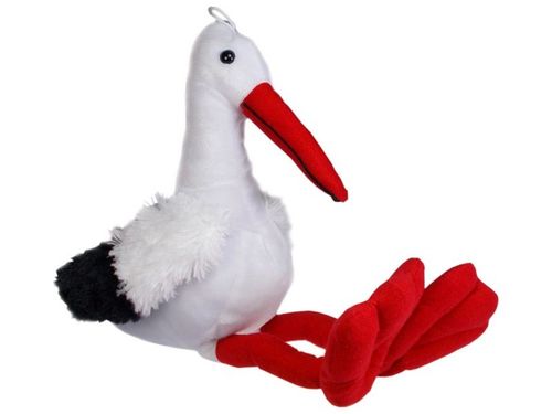 Sun-day - Bocian na Arena.pl