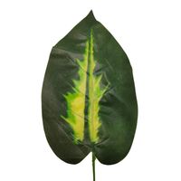 product-compare-61190933