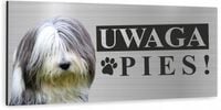 Tabliczka UWAGA ZŁY PIES - BEARDED COLLIE dibond