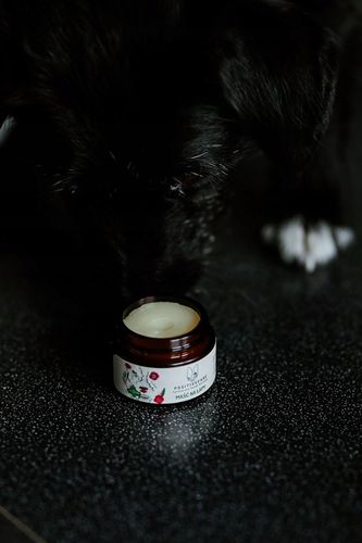 Naturalna maść na łapy dla psa na Arena.pl