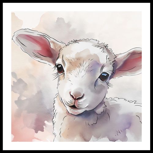 Plakat 70x70cm Mała Owieczka na Arena.pl