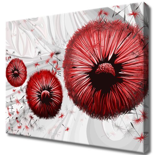 Obraz Drukowany 50X40 Czerwone Dmuchawce 2 na Arena.pl