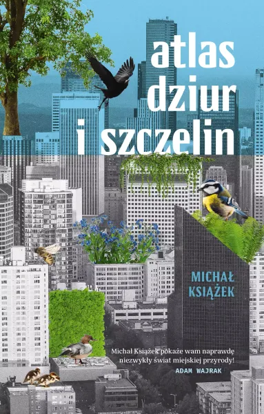 Atlas Dziur I Szczelin zdjęcie 1