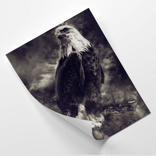 Plakat, Orzeł białogłowy 40x60 na Arena.pl