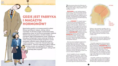 Jego wysokość mózg na Arena.pl