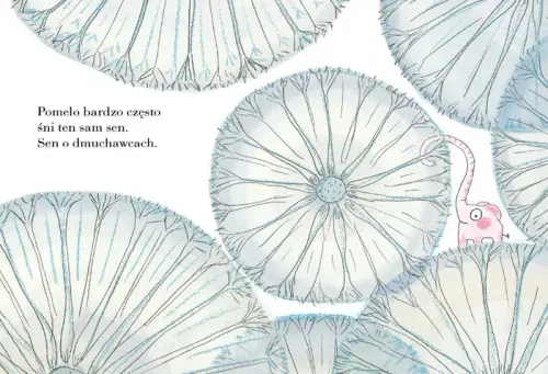 Pomelo śni na Arena.pl