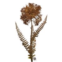 Dodatek czosnek brązowy