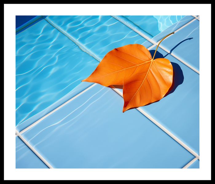Plakat 60x50cm Liść przy Wodzie zdjęcie 3