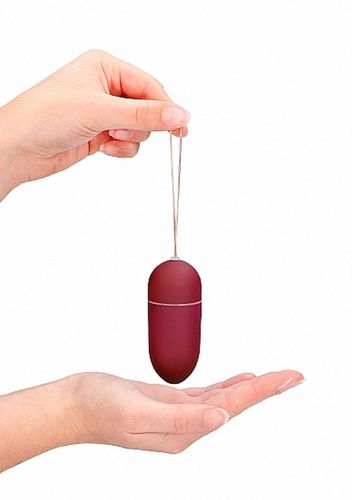 10 speed remote vibrating egg - big - red na Arena.pl