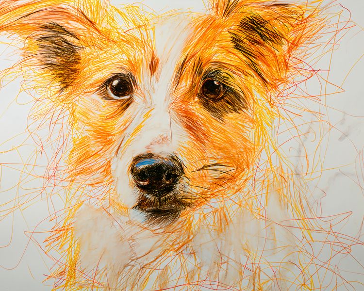 Plakat 50x40cm Uroczy Gość zdjęcie 1