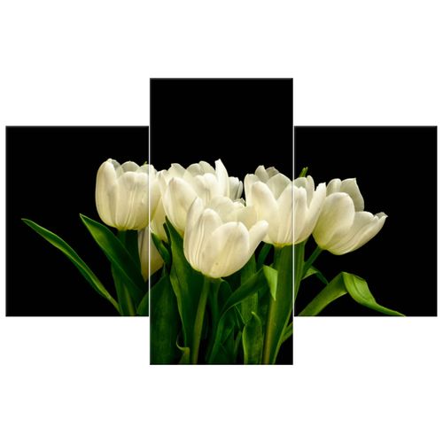 Obraz Płótno 90X60 Białe Tulipany - Mark Freeth na Arena.pl