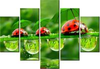 105CM 150CM ZEGAR 5 ELEM BIEDRONECZKI DRUK OBRAZ