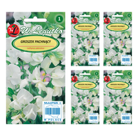Groszek pachnący biały Nasiona 15g 5x3g