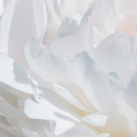 Yodeyma Valia Woda Perfumowana Dla Kobiet 50ml na Arena.pl