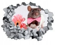 Naklejka samoprzylepna efekt 3D mysz zwierzęta HIT