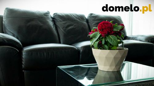 DONICZKA DELTA 220 A1 na Arena.pl