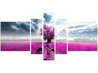 OBRAZ FIELD&TREE POLE DRZEWO KOLORY