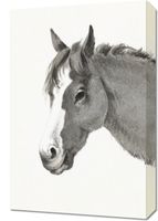 Obraz 40x60cm Głowa Konia, Jean Bernard Vintage do Salonu