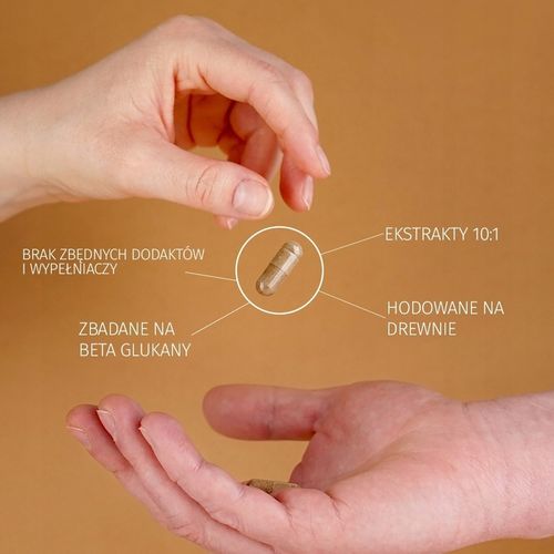 Lion's Mane (Soplówka jeżowata) 10:1 60x 500mg na Arena.pl