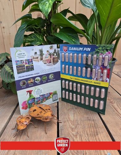 SANIUM PIN 2w1 Pałeczki Owadobójcze + Nawozowe na Ziemiórki Tarczniki na Arena.pl