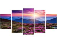 product-compare-58702837