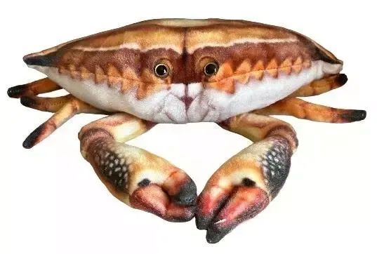 Krab 31cm zdjęcie 1