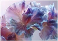 Fototapeta Na Flizelinie Do Sypialni Salonu Kwiaty 350x250