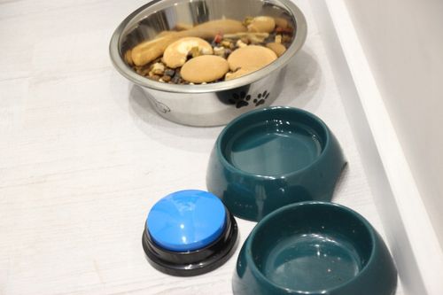 PRZYCISK SZKOLENIA Psa Kota NAGRYWANIE DŹWIĘKU przyciski NAUKA 2szt MP097 na Arena.pl