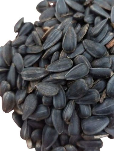 Słonecznik karma dla ptaków czarny 5 kg ziarno nasiona karmnik GRATIS KULA na Arena.pl