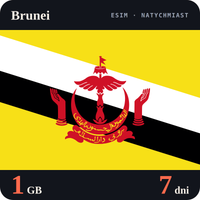 Karta eSIM Internet Brunei 1 GB na 7 dni - bez rejestracji
