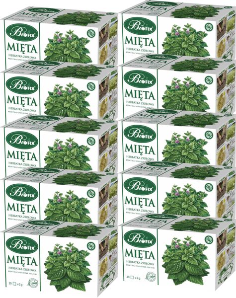(x10) BIFIX Mięta 20x1,75g zdjęcie 1