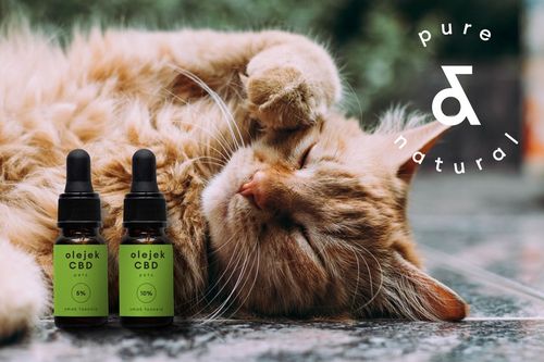 Olejek CBD 10% dla zwierząt 30 ml FULL SPECTRUM Pies Kot / konopny 3000 mg na Arena.pl